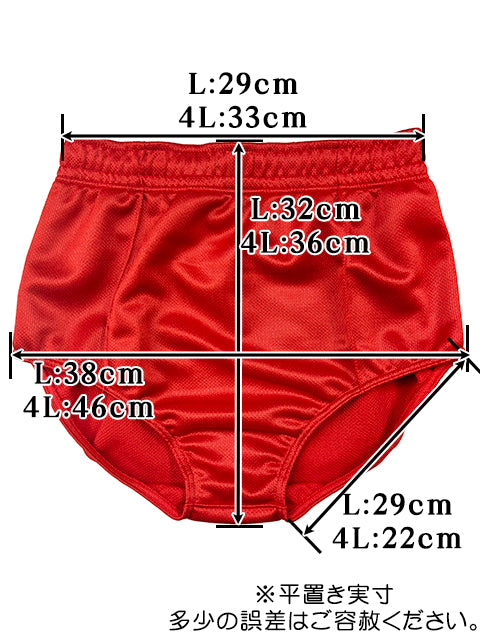 wbb-6690 ジャージ生地バレーブルマー